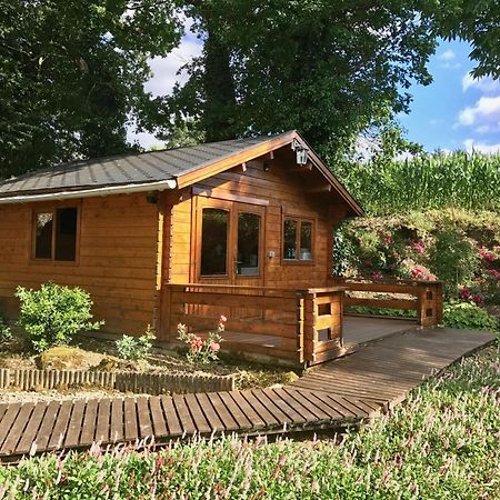Chambres D'Hotes Les Tilleuls Poullaouen Экстерьер фото